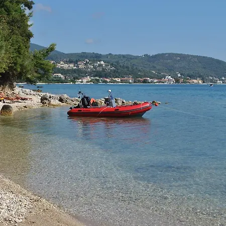 One Vision نِكيانا