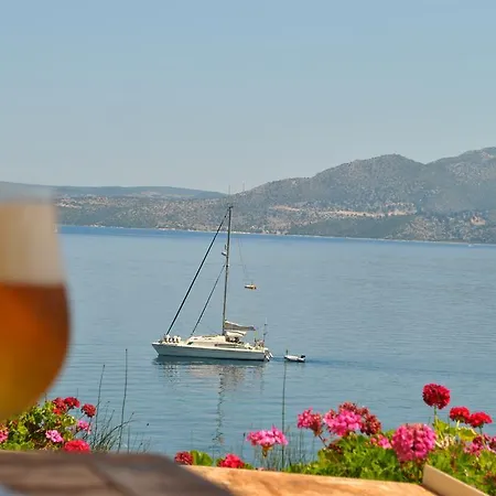 Apartment One Vision Nikiana